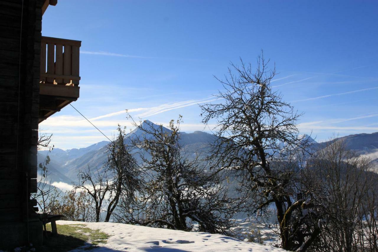 Apartment Poetzelberghof Altenmarkt im Pongau Bagian luar foto