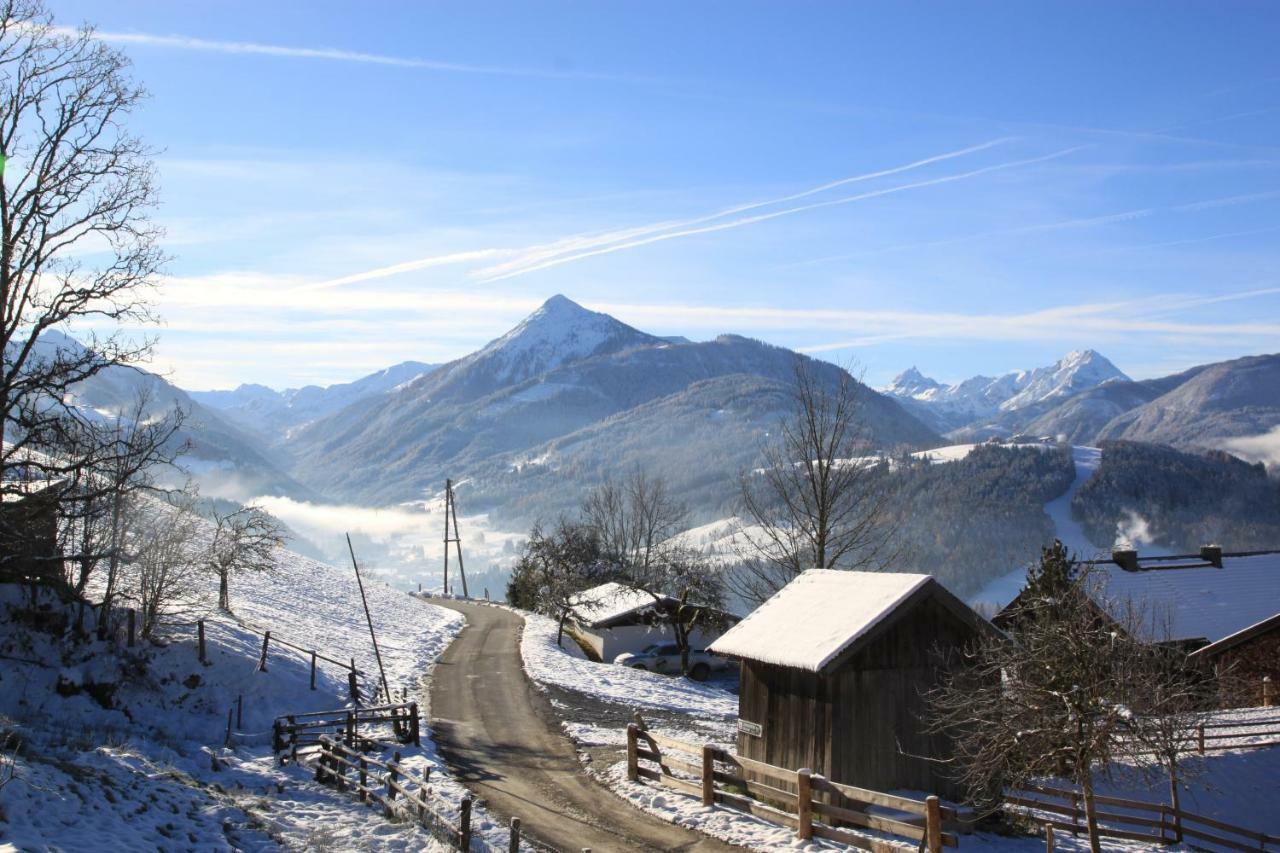 Apartment Poetzelberghof Altenmarkt im Pongau Bagian luar foto