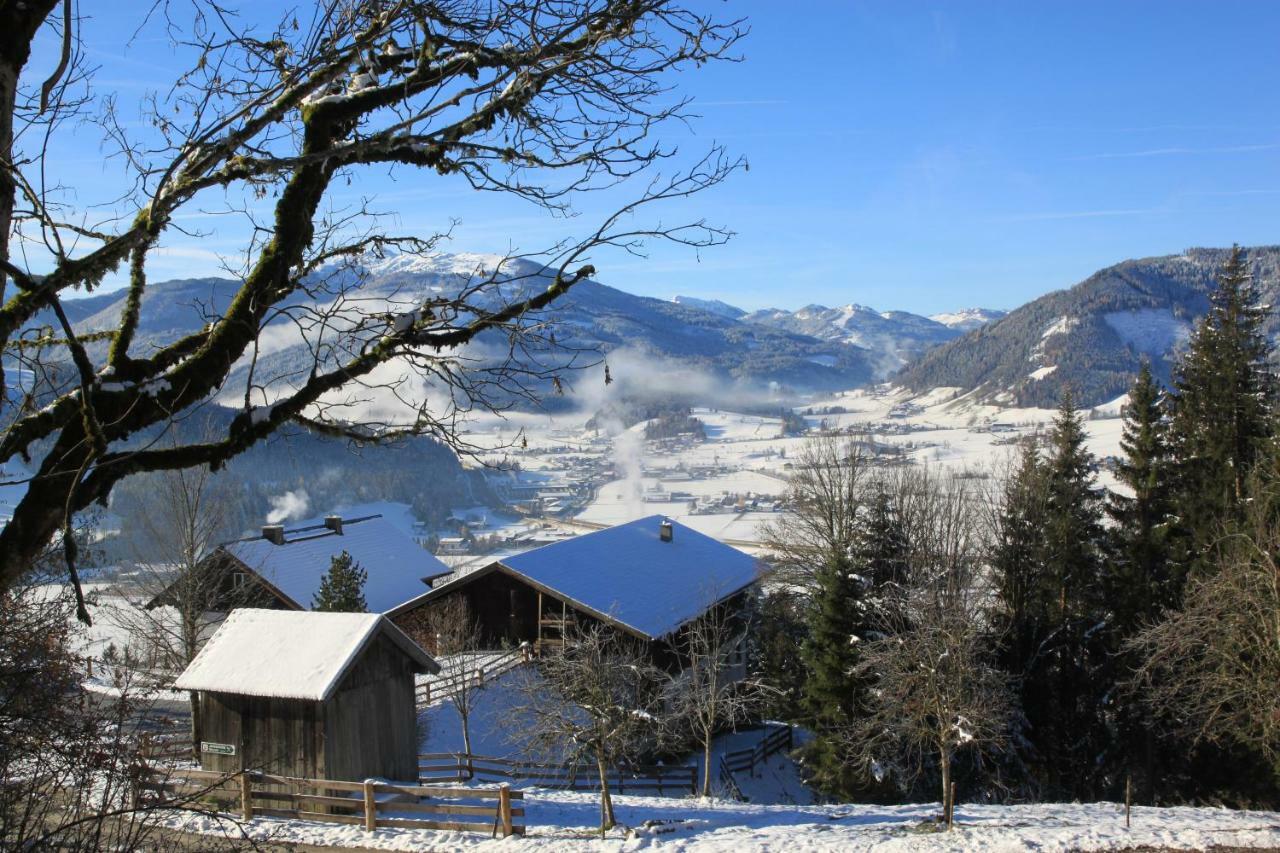 Apartment Poetzelberghof Altenmarkt im Pongau Bagian luar foto